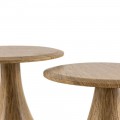 Mushroom Coffee Table PPT015