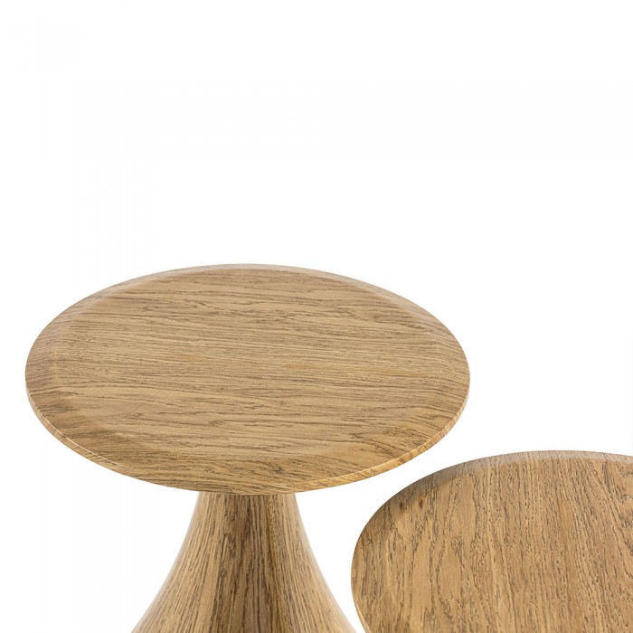 Mushroom Coffee Table PPT015